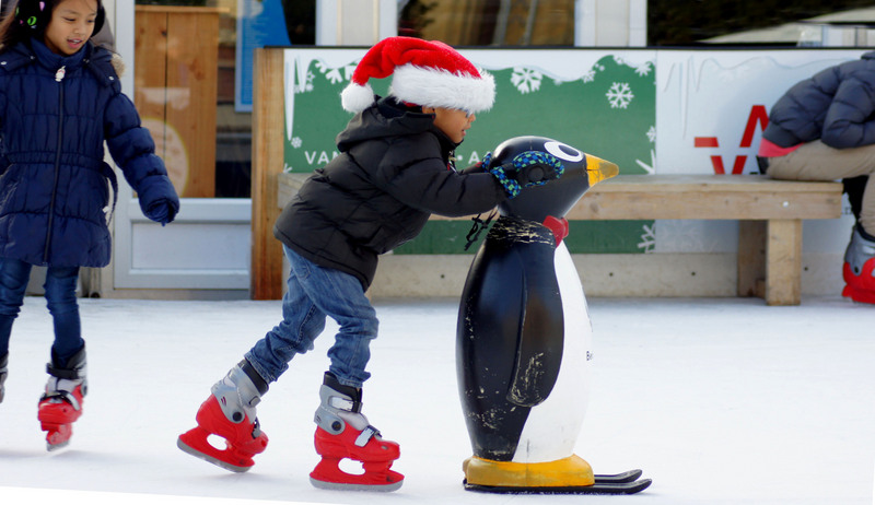 Kostuum iets Uiterlijk Gaan schaatsen (lager) – De Ooievaar